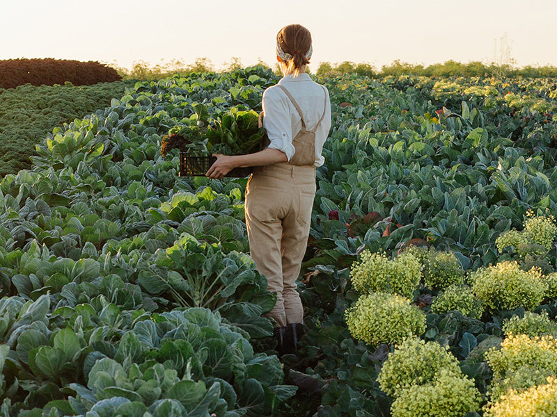 What is Regenerative Agriculture?