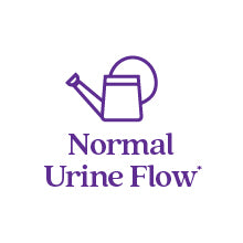 Normal Urine Flow