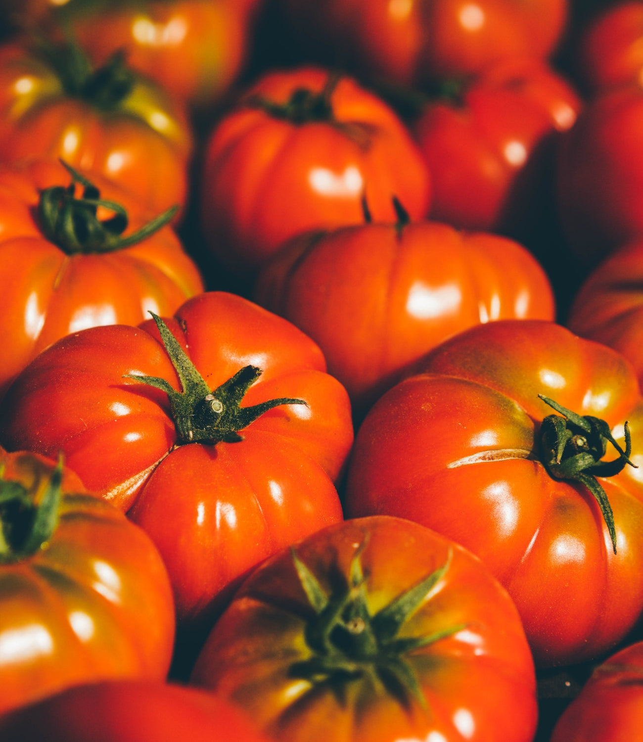 Tomatoes