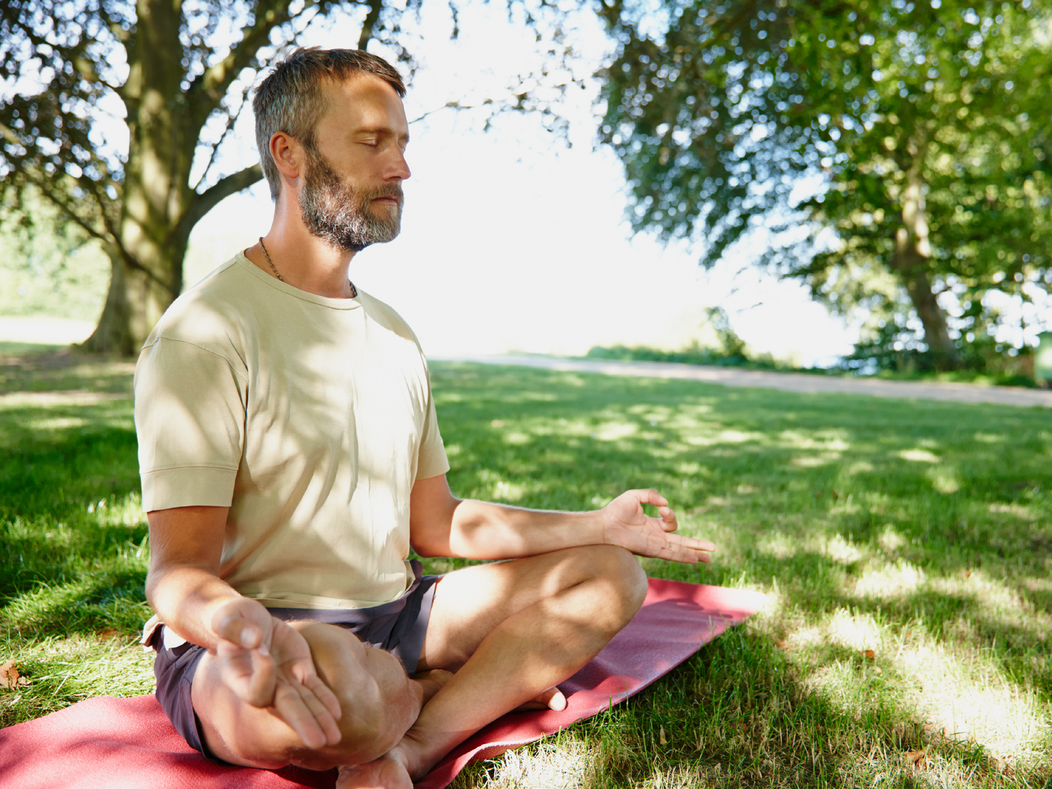 5 Best Vitamins for Men Over 50
