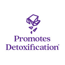 Promotes Detoxification