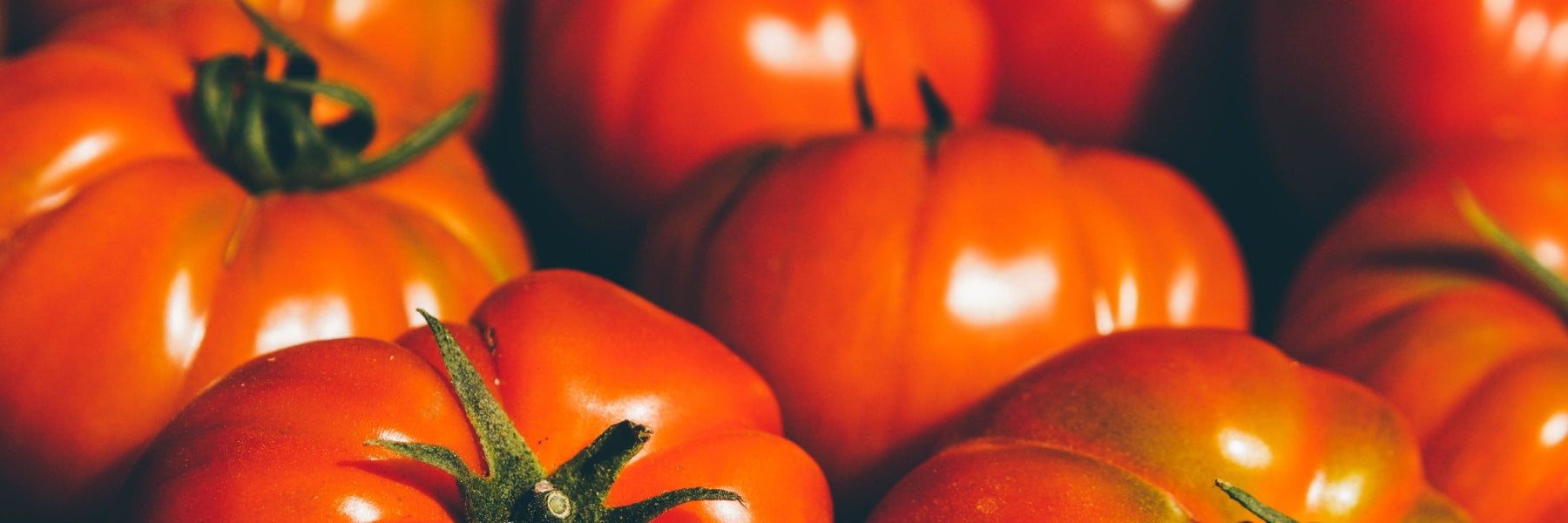 Tomatoes