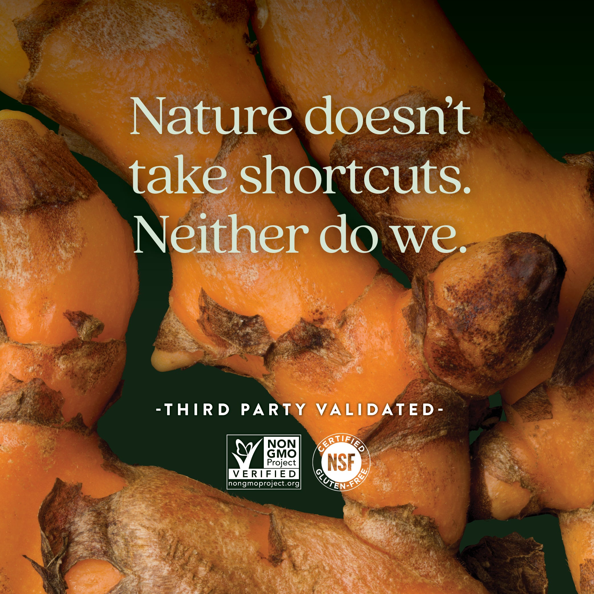 Non-GMO Project Verified and NSF Certified Gluten-Free