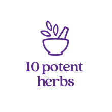 10 Potent Herbs