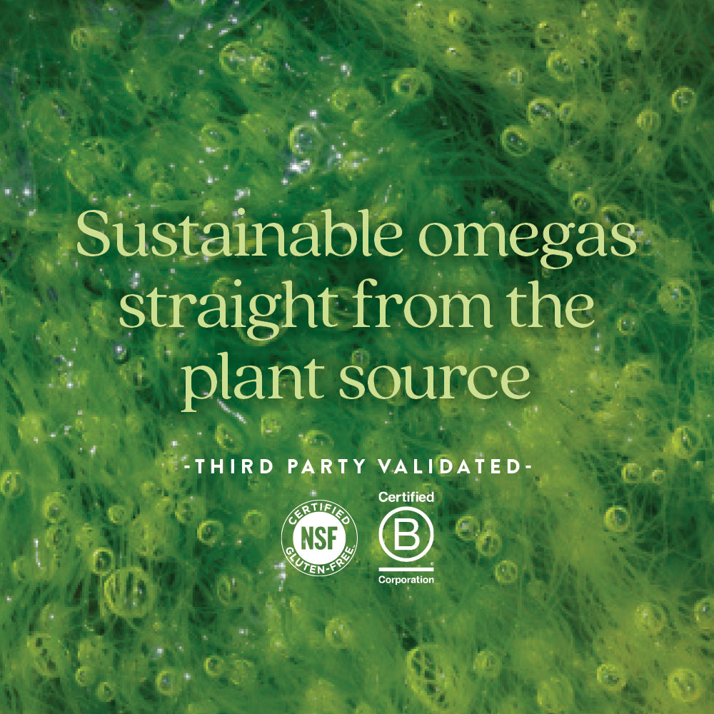 NSF Certified Gluten-Free, Certified B Corporation  