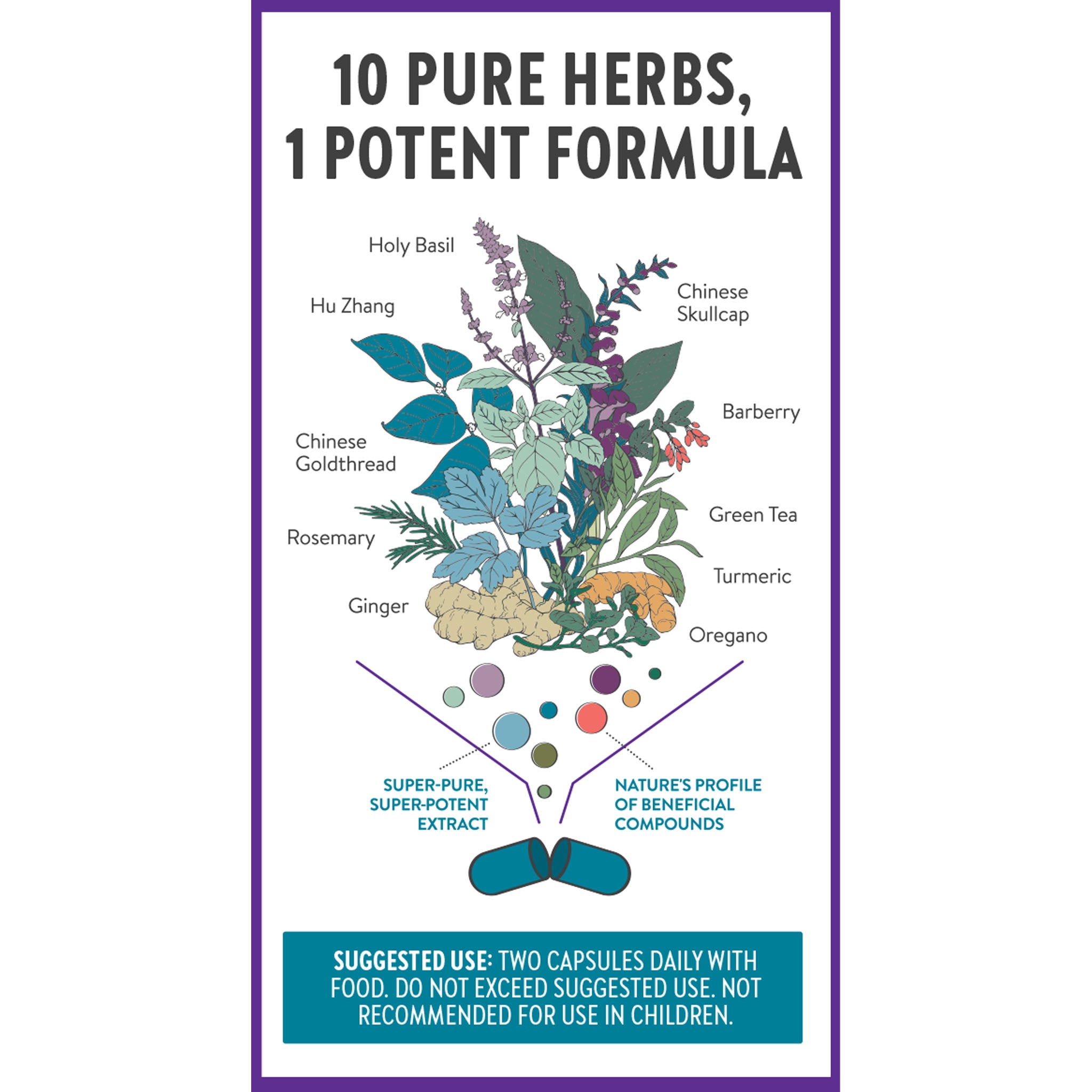 10 pure herbs in 1 potent formula 