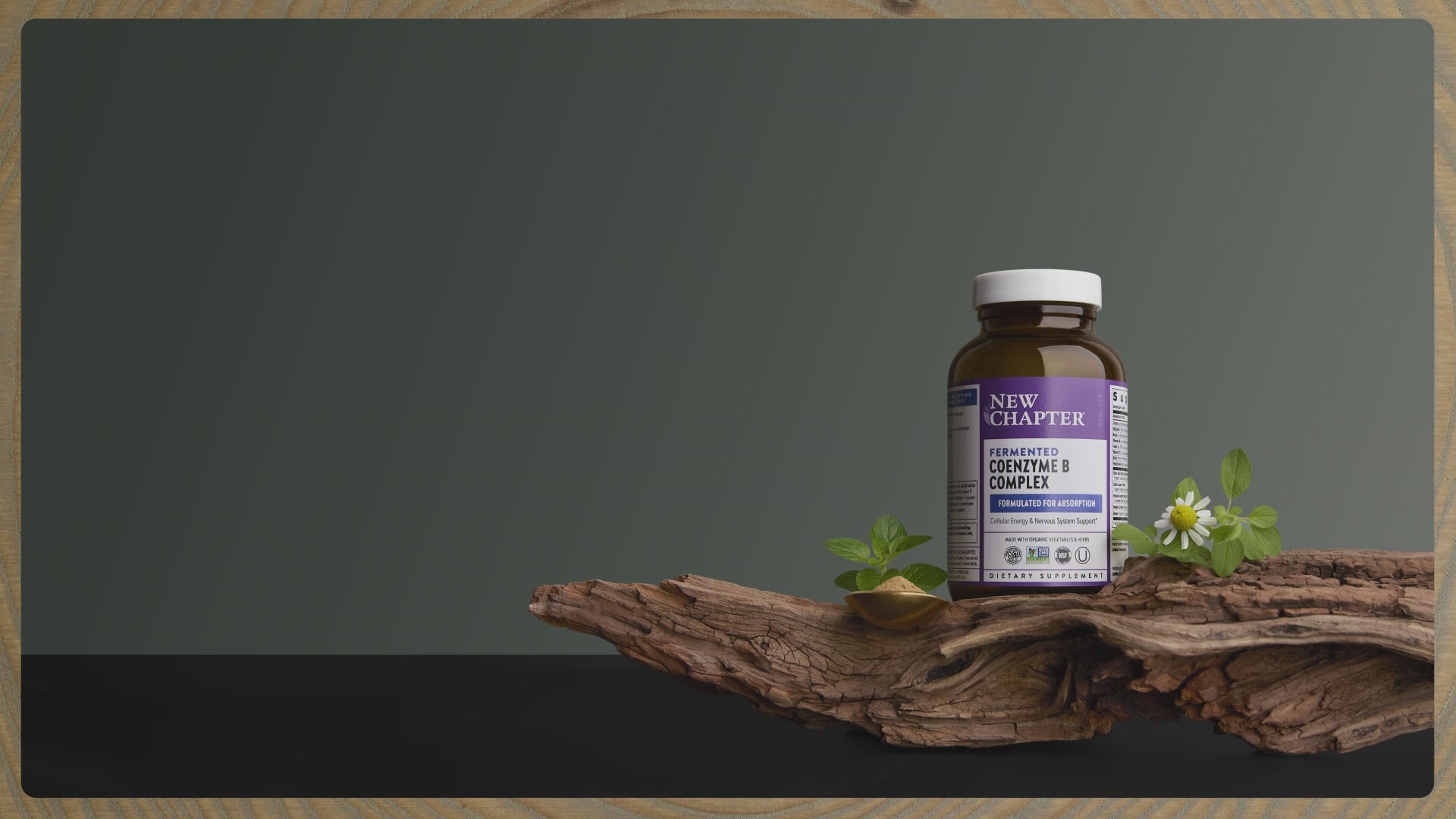 Fermented Coenzyme B Complex Video